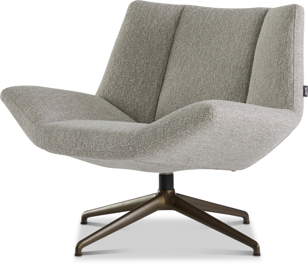 Fauteuil Aiden laag Dyyk 2